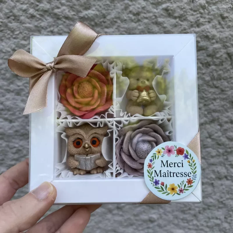 Coffret Merci Maîtresse